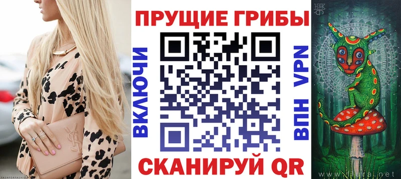 наркота Гаврилов Посад дарк нет наркотические препараты Галлюциногенные грибы ЛСД